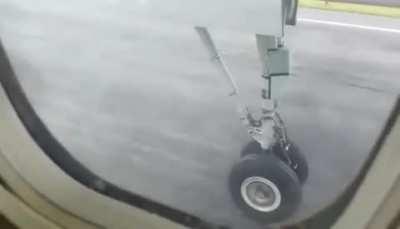 Airplane lands on Deer