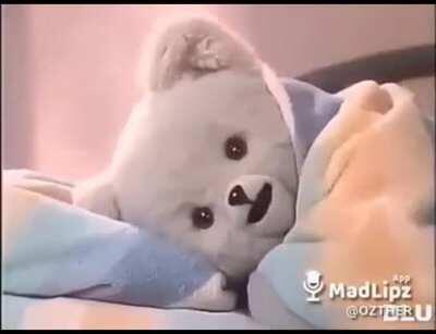 el osito de las toallas