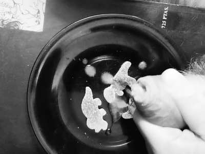 Only triceratops survived