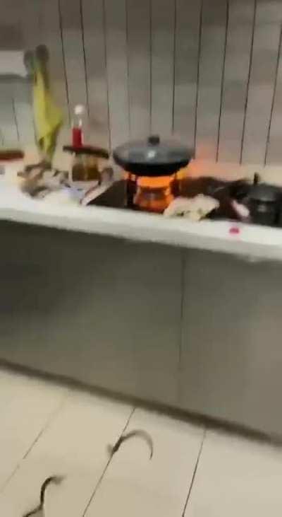 Cooking live eels...