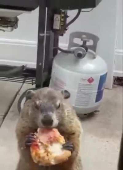 I hope you all enjoy this as much as I did