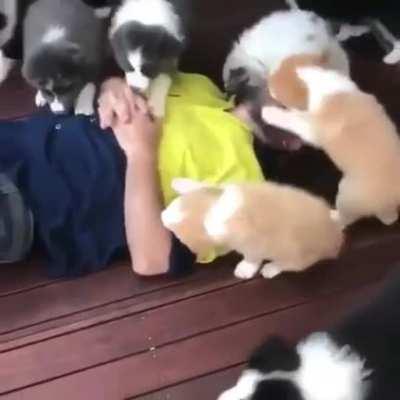 mAn RipPeD aPArT bY sAvaGe dOgS