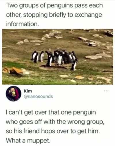 This is a very sweet moment.