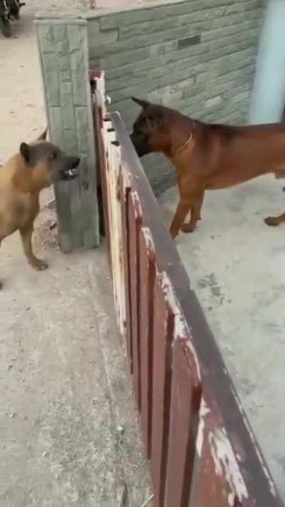 Catch Me Outside How Bout Dat