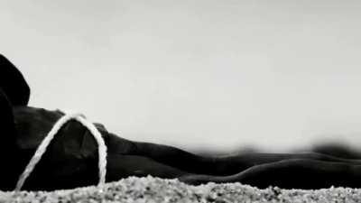 EAZY REWORK (OG Sample, Strings, Keys, Crash Symbol, Synths, Organ, Horns)