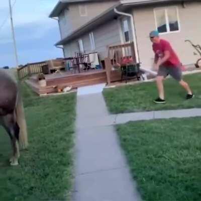 I hope that guy is ok