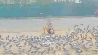 Opps moment while feeding the pigeons. I don’t know but people must have looked at my milky legs and blue thongs. [f] [female]