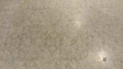 Seeing patterns on the floor (visual patterning replication)