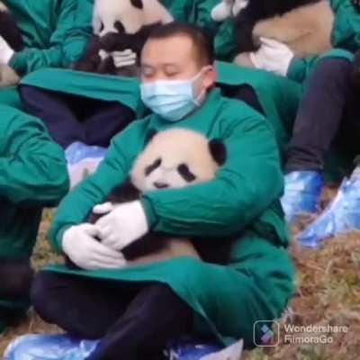 You gotta be gentle with them