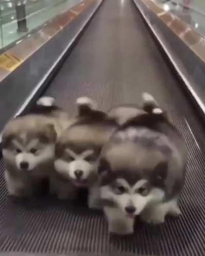 CuteTry to catch up)))