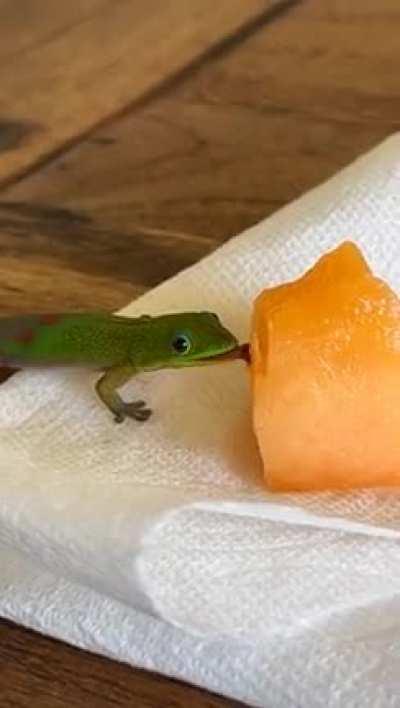 I made a little friend