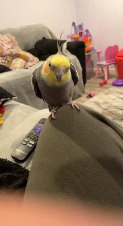 Whats my little man doin??