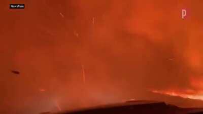 Holy Shit California