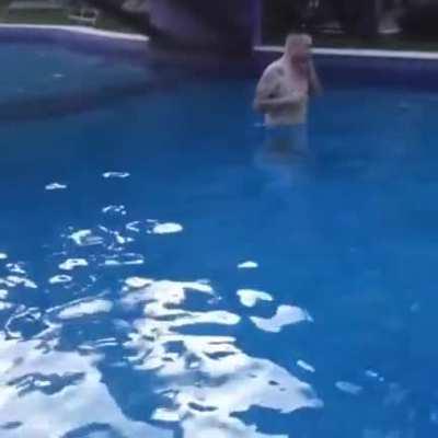 Flamingo misjudged the bridge