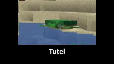 Tutel