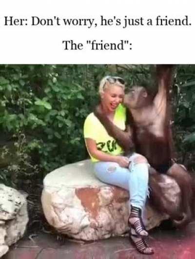 The Just Friend