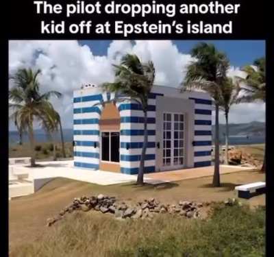 I wonder if the pilot was involved too