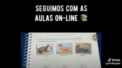 Assista até o final 😓😓😓