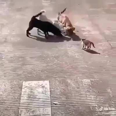 Слабый снаружи, но сильный внутри