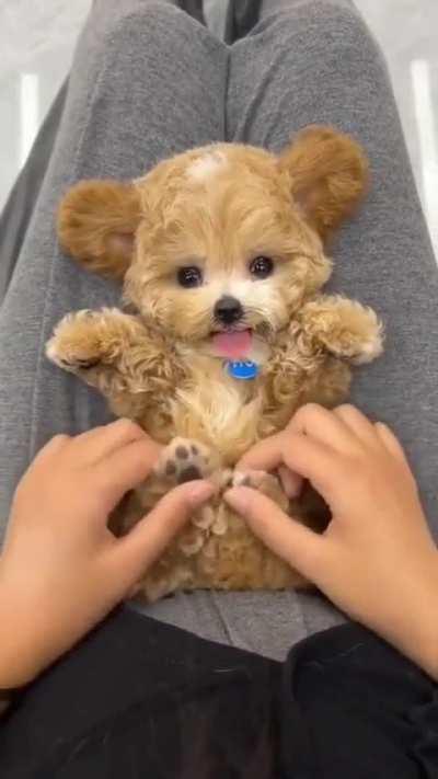 Oh my gosh!!, my heart can't take it