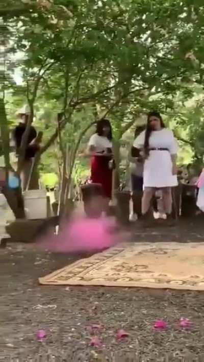 Gender reveal veneco edition