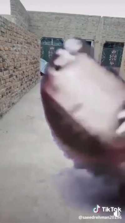 he has tigete!?!!!!mmN