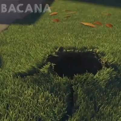 Título não viu nada