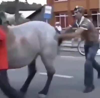 Anoying a horse and slaping its butt what did u expect