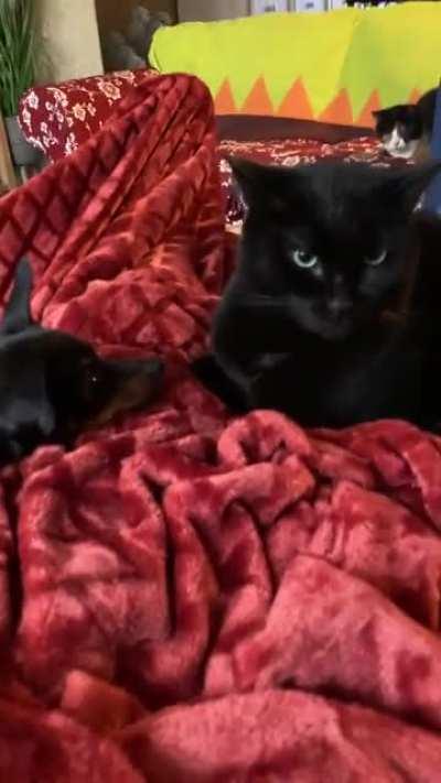 When you love someone but they don’t love you back…