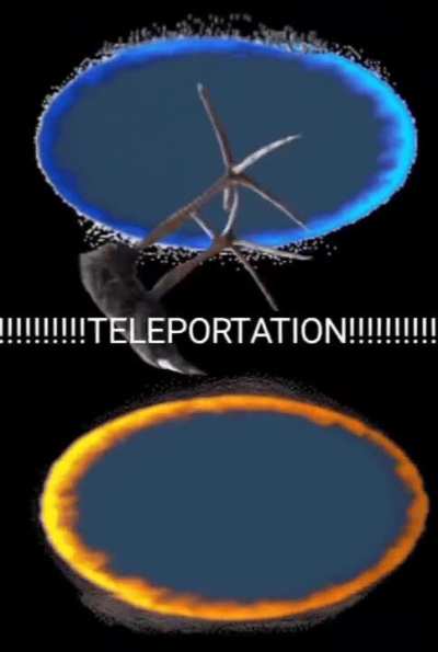 TELEPORTATION 