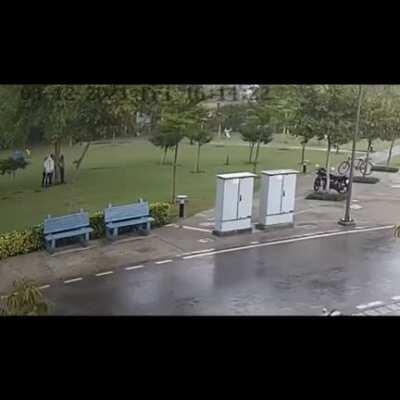 4 men hide under a tree during a lightning storm in Gurgaon. Get electrocuted. 1 Dead, 3 Injured