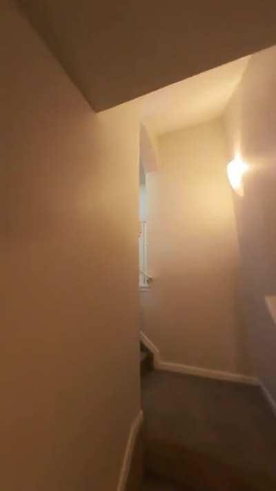 Insta360 Go 2 & Alpha c85 w/ horizon lock in pro mode