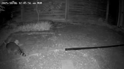 hi, just dropping in