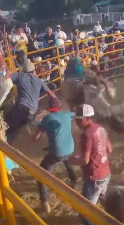 To remain conscious while riding a bull.