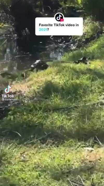 Froggy AAAAAAAAAAAAAAAA