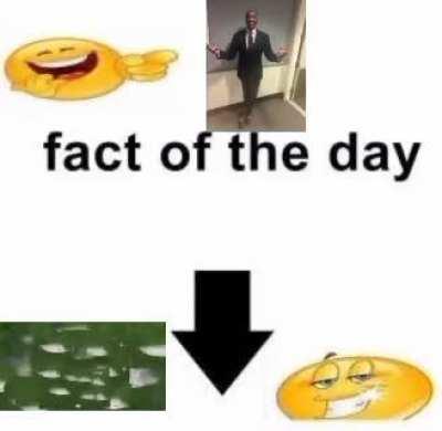 Fact of the Day