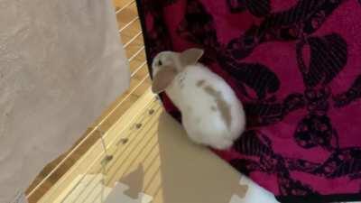 A record 4 flops in under three minutes! (Flops at 0:22, 0:44, 1:28, and 2:27)