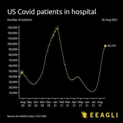 [OC] US Covid patients in hospital