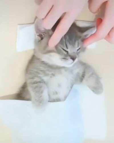 It's my massage time