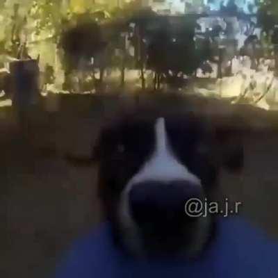 SUPRA VS MAZDA RX7 INITIAL D AMV