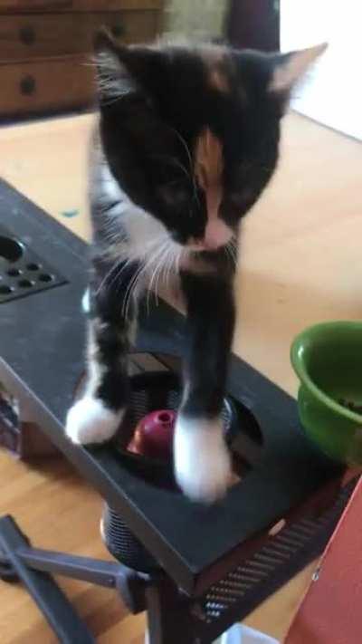 Very loud for someone so small.