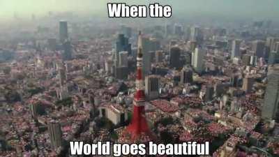 This is all I could think of when I saw the Pikmin Bloom trailer