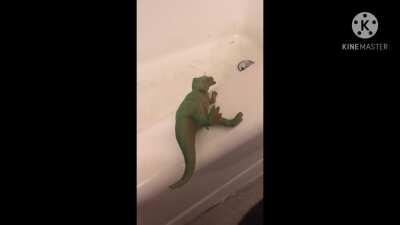 No deogo was miy favoreit