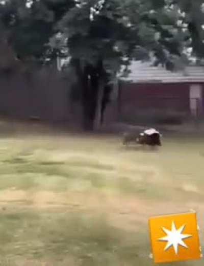 Mr steal yo b#&$! (light hearted crazy video)