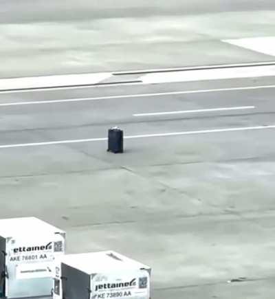 They didn’t lose the luggage. The luggage needed to get lost.