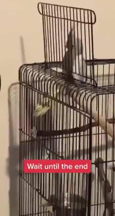 He&rsquo;s trying something..