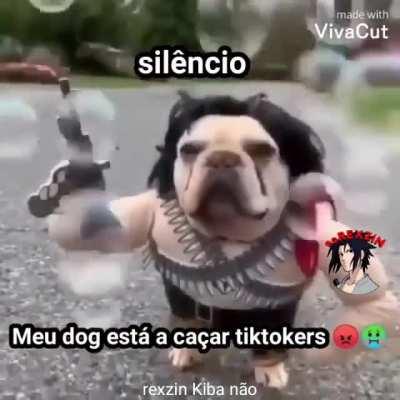 Silêncio... 🤫🤫🤫