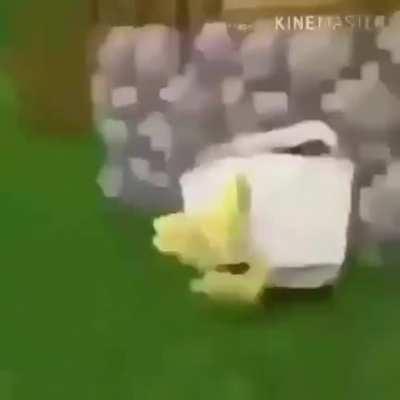 quien ganará está pelea??