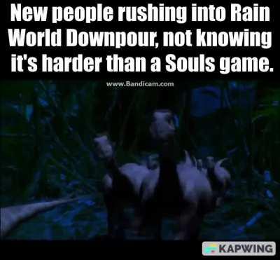 Imagine if Rain World had 30-100 player servers.