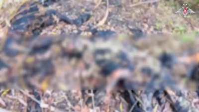 RU POV:Russians record piles of burned Ukrainian soldiers after a failed assault in an armored vehicle without proper support.